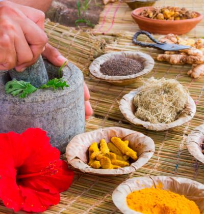 SPICE FOR HEALTH (2) Closeup of healthy herbs and spices at Ceylon Spice Company