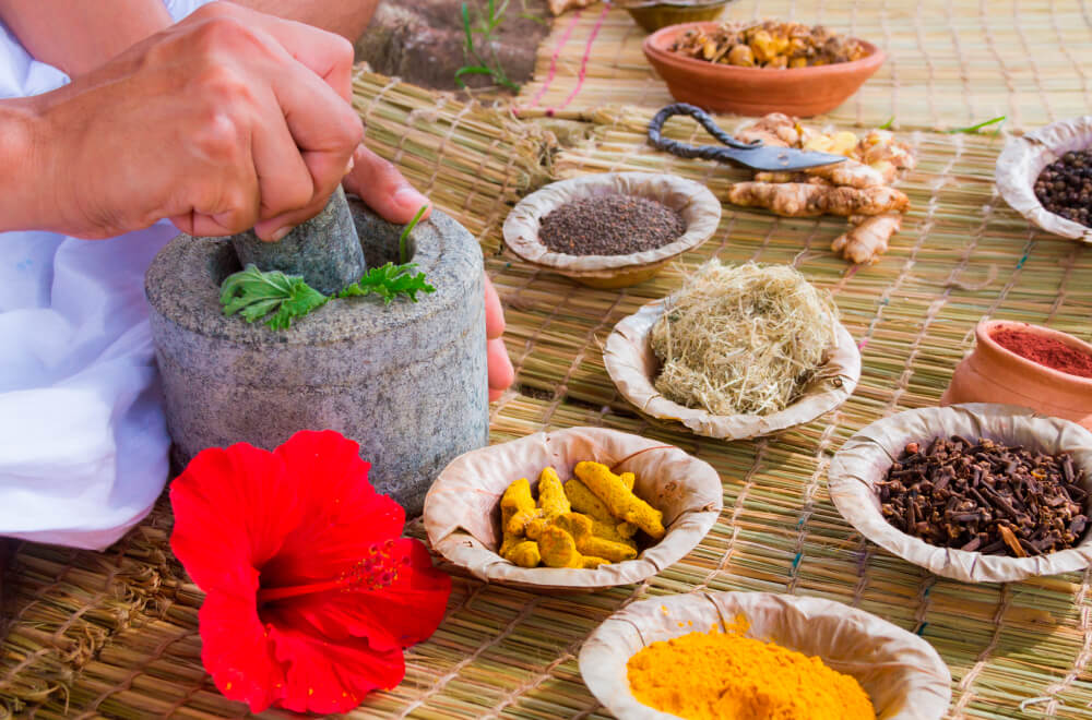 Closeup of healthy herbs and spices at Ceylon Spice Company